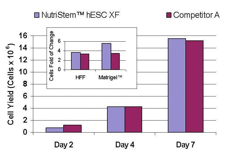 Cell Morphology H1 cells cultured in NutriStem hesc XF medium at passage 5 display compact colonies and distinct colony morphology typical of pluripotent hescs.