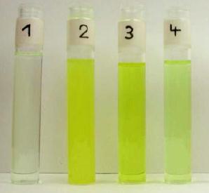 solution: 1% UV absorber 1 2 3 4 1. Triazine 2. LMW benzotriazole 3.