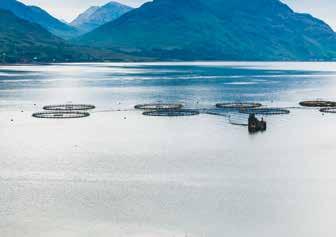 Introduction Salmon farming is at the heart of Scottish food production and is one of Scotland s most important rural industries.