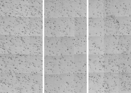 7%al-mn 933K 998K 1073K 500 µm bottom 500µ m Fig. 1 Optical micrographs showing the structure of Mg-5.7%Al-Mn (a), Mg-8.