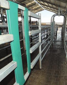 Readers can be mounted at the parlor entrance, the feeding area or within the sort gate system.