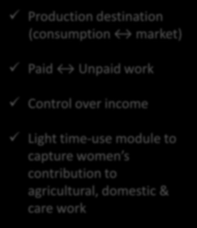 Unpaid work Control over income Light time-use module to