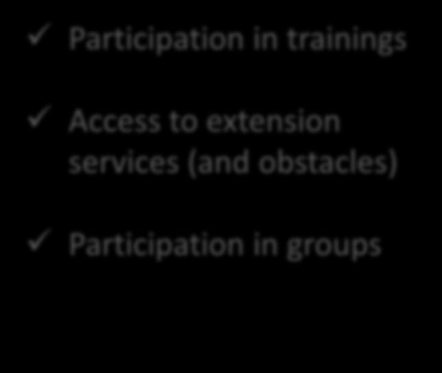Trainings / groups Participation in trainings Access to