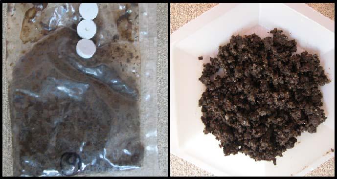 Figure 4-9. Picture of compost plus PLA after 40 days, in and out of the bag 40 30 % biod.