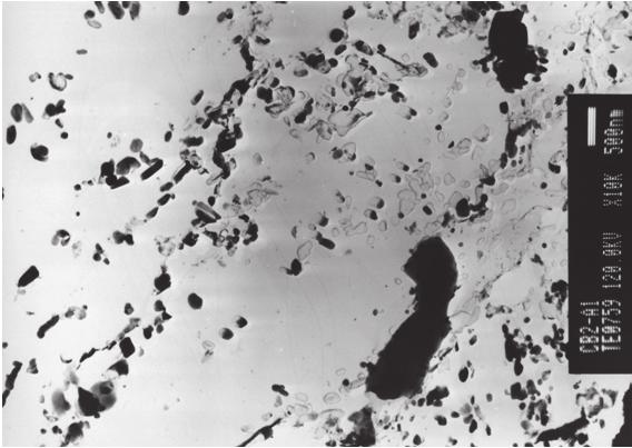 shrinkage porosity. Aluminate inclusions and large BN precipitates up to 5 µm in size were observed in etched metallographic samples.