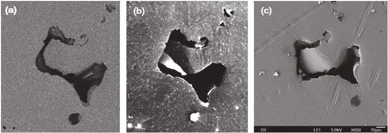 c) shows standard SEM image obtained at 5 kev landing energy of electrons; and d) attached table shows positions and results of EDS microanalysis in wt%. 3.2.
