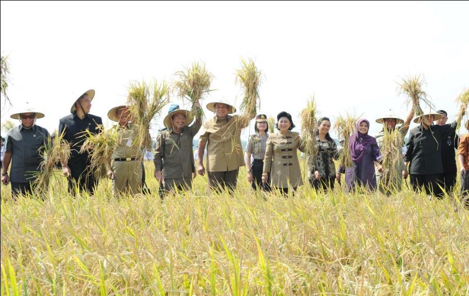 STRATEGIC ROLE OF INDONESIA AGRICULTURAL Provide food for 245 mil.