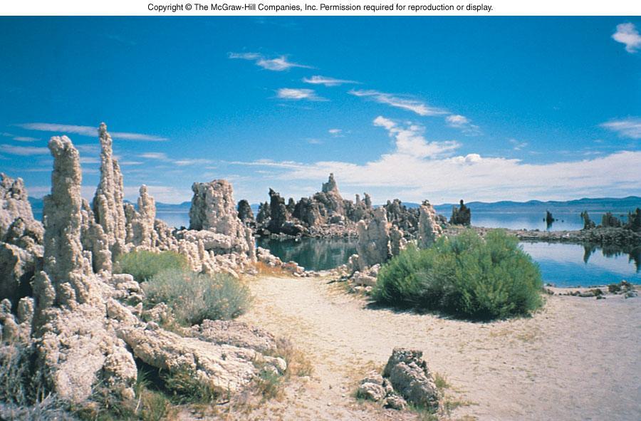 Mono Lake After Diversion of Surface Water Figure