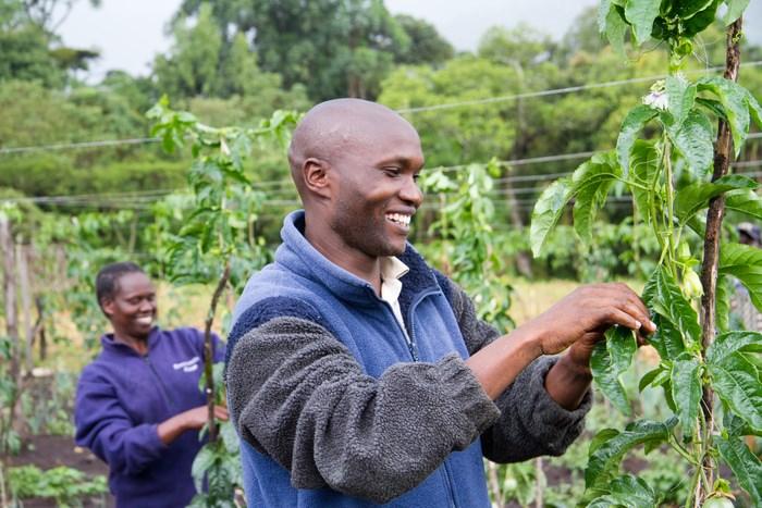 BOX 4 Project Nurture: Securing Smallholder Finance through SACCOs In 2010, TechnoServe received a four-year grant from the Bill & Melinda Gates Foundation and The Coca-Cola Company to help mango and