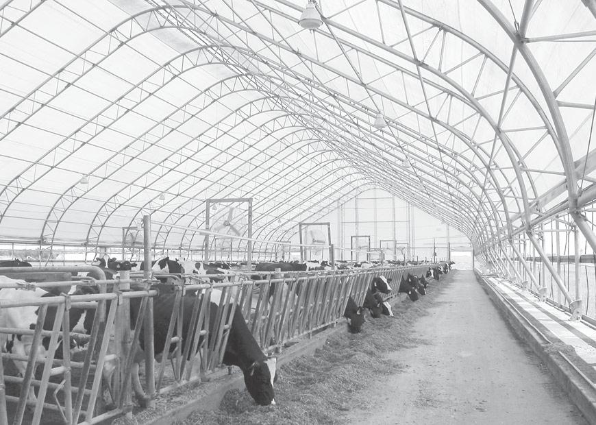 Freestall areas for 100 milk cows, and 30 dry and close-up cows. Freestalls are spaced at 48 inches on center. Two maternity pens are available with each pen sized for three cows and newborn calves.