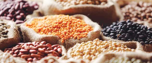 The total share of pulses to total food grains basket in the country in terms of area, production and productivity was 19.62%, 16.55% and 84.48%, respectively during 1950-51.