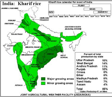 India Agriculture Major Crops Source: USDA, NOAA, FAO, Indian Ministry for