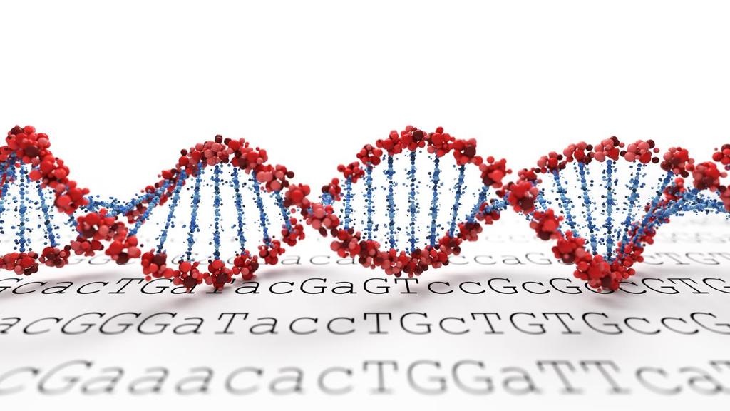 Guideline for the submission of DNA sequences derived from genetically modified