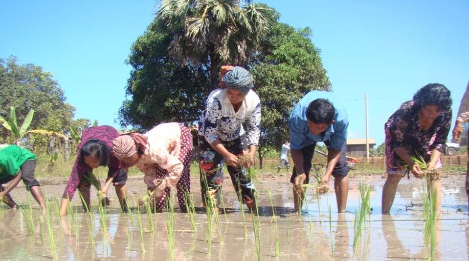 UNDP/UNEP NATIONAL ADAPTATION PLAN GLOBAL SUPPORT PROGRAMME: