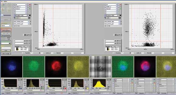 CellBrowser Software The DEPArray system s CellBrowser software is a powerful tool enabling the review and selection of multiple cell populations from the sample based on multi-parametric