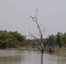Cyclones: On November 5, 2007 cyclone Sidr destroyed about one-third of the Sundarbans.