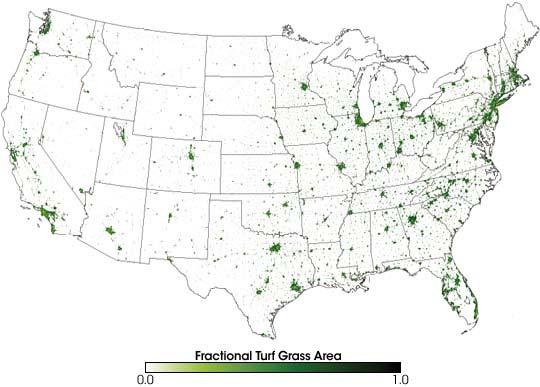 Area Covered With Turf Grasses According to Milesi et al. (2005), 1.9% of the surface area of the USA is covered with lawns (residential, industrial, and recreational).