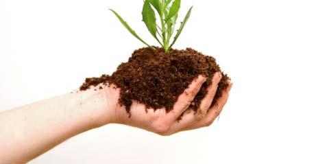 B. Fertile Soil: the Living Earth Soil that can support the growth of healthy h plants is called fertile soil.