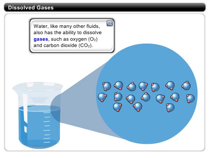 Dissolved Gases Water, like many other fluids, also has the ability to dissolve gases, such as oxygen (02) and carbon dioxide (CO2).