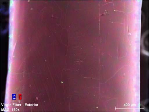 Virgin fiber CEI analysis was also done as a comparison to observe the extent of the fouling. Figure 5 presents the images from this analysis.