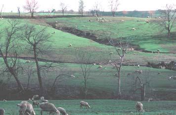 Figure 2. Soil erosion caused by overgrazing sheep. Photo courtesy of USDA NRCS. The choice of management practices can affect how many animals the farm will support.