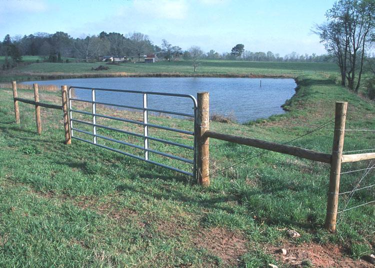 Livestock should be fenced out of ponds and provided with alternative sources of drinking water. Photo courtesy of USDA NRCS. Figure 3.