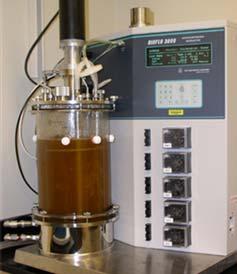 Applications: production of Nisin Ethanol Lactic acid Cellulases Amylases