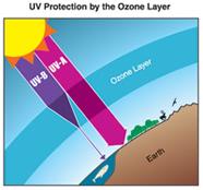September 16 th 2010 International Day for the Preservation of the Ozone Layer Next 16 th of September it will be celebrated the 2010 edition of the International Day for the Preservation of the