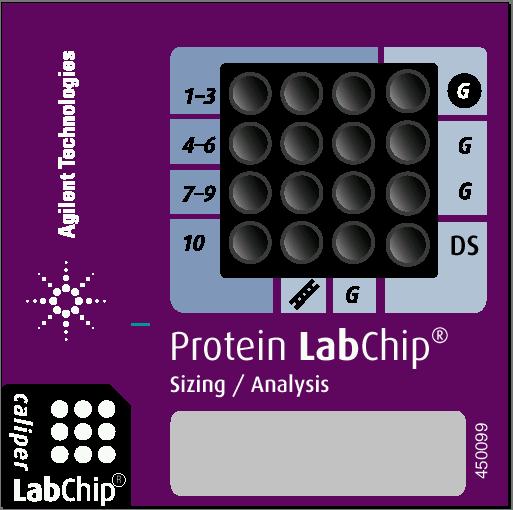 Protein Chip Preparation 1.