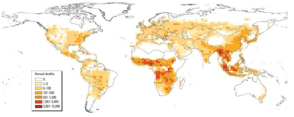 Wildfire pollution is a global issue Average