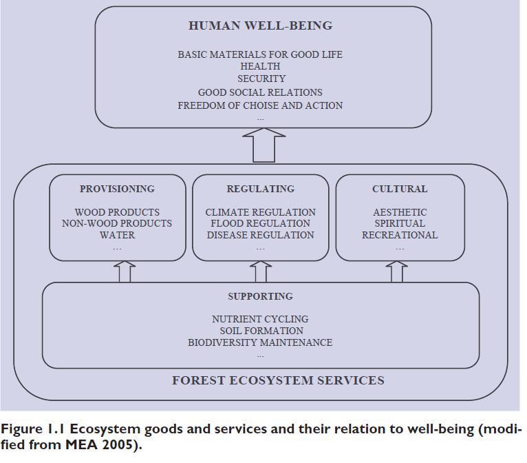 Ecosystem goods and