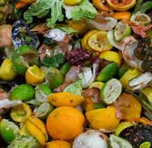 o Eventually include post consumer food waste Roll out plan o Recruit up to 250 commercial food waste producers Continue