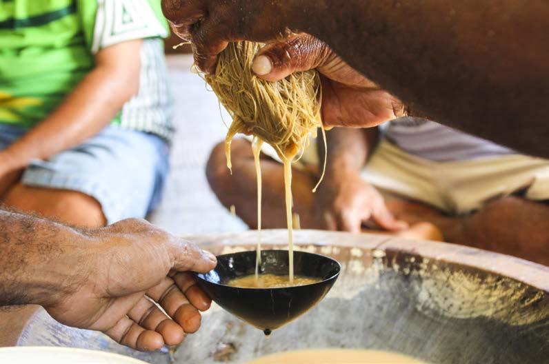 Development and implementation of appropriate national standards for the production and export of kava.