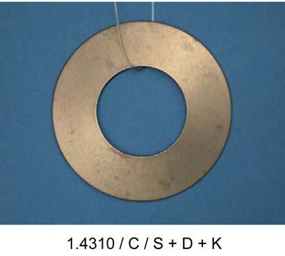 4310; on the other two variants, a low number of brownish spots can be found, similar to the non-shot-peened disc spring variant composed of 1.4568.
