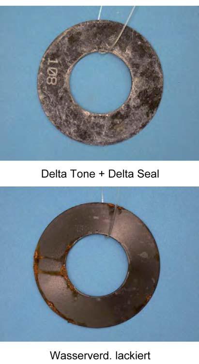 Delta Tone + Delta Seal Chemically