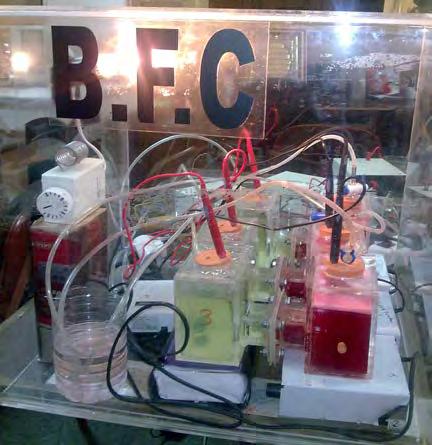 The output result in the form of open circuit (OCV) was recorded by the data acquisition system. Biochemical activity of the microorganisms gradually increased electricity generation.