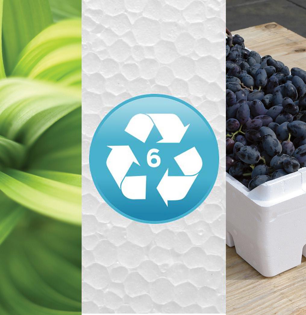 EPS COLD CHAIN PACKAGING SUSTAINABILITY Packaging s most important function is to deliver products safely to market, which is critical to achieving a net positive environmental impact.