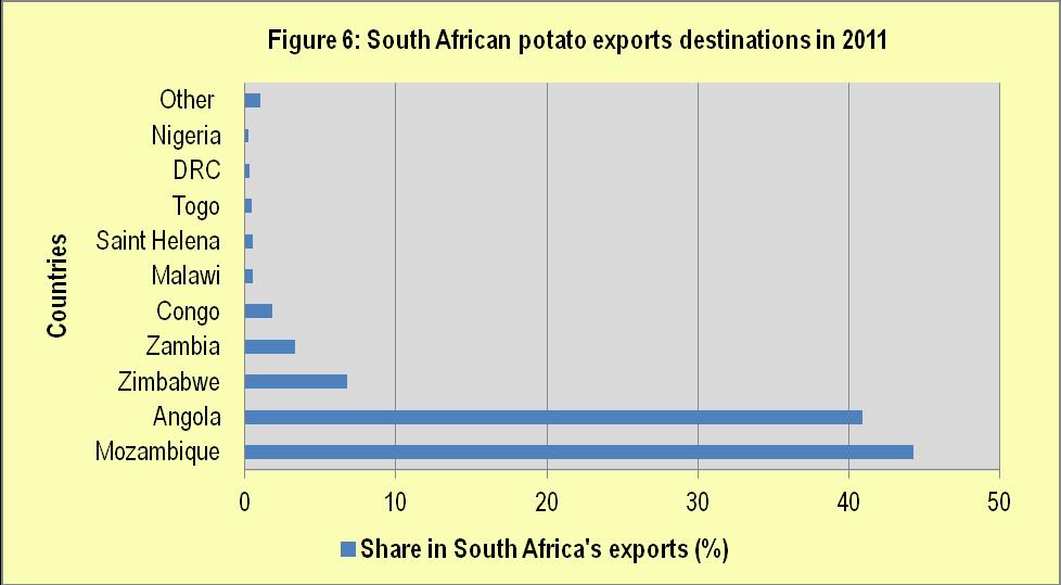 2.2 Exports Potatoes are probably the most suitable vegetables for export market (easy to grade and pack an under correct conditions, their shelf life is much longer than most other vegetables).