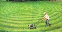 Turf Cultural Care Good lawn care (fertilize, mow, aerate, irrigation)