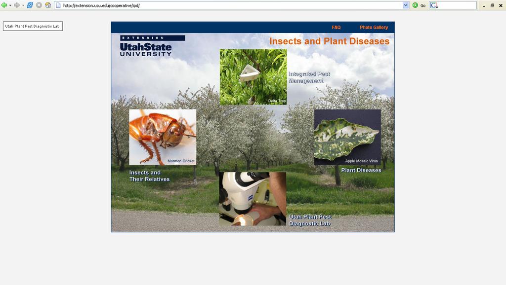 Pest Management Resources on the Web Insects and Plant Diseases One-stop