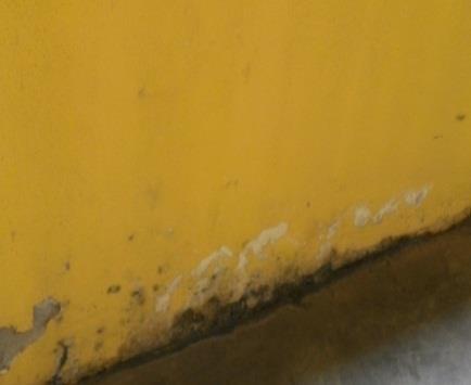 In school E, mould grew aggressively on the surface of paintwork where there was excessive moisture. A simple repainting will not correct the problem for long.