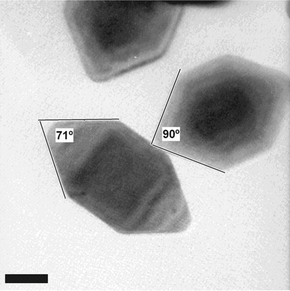 Figure S4. High-resolution TEM image of two sharpened rods.