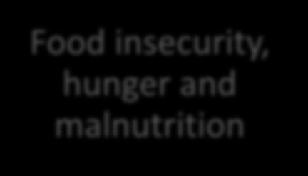 insecurity, hunger and