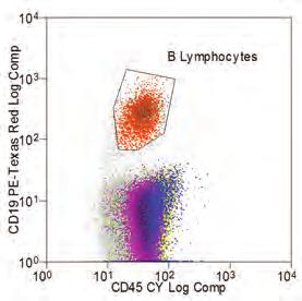 9-color no-lyse analysis of human