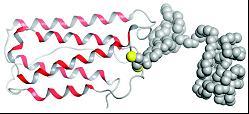Protein therapeutics biologics Current generation recombinant proteins,