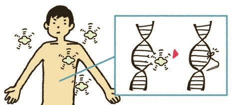 Radiation s impact on the human body Radiation can damage DNA in cells as it travels through the cell. Such damage is repaired by the built-in systems in one s body.