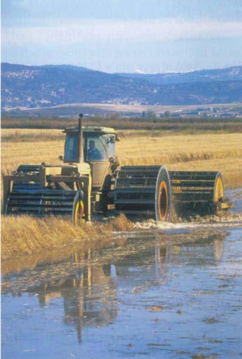 Long-term studies find benefits, challenges in alternative rice straw management Mike W. Hair Eric E.