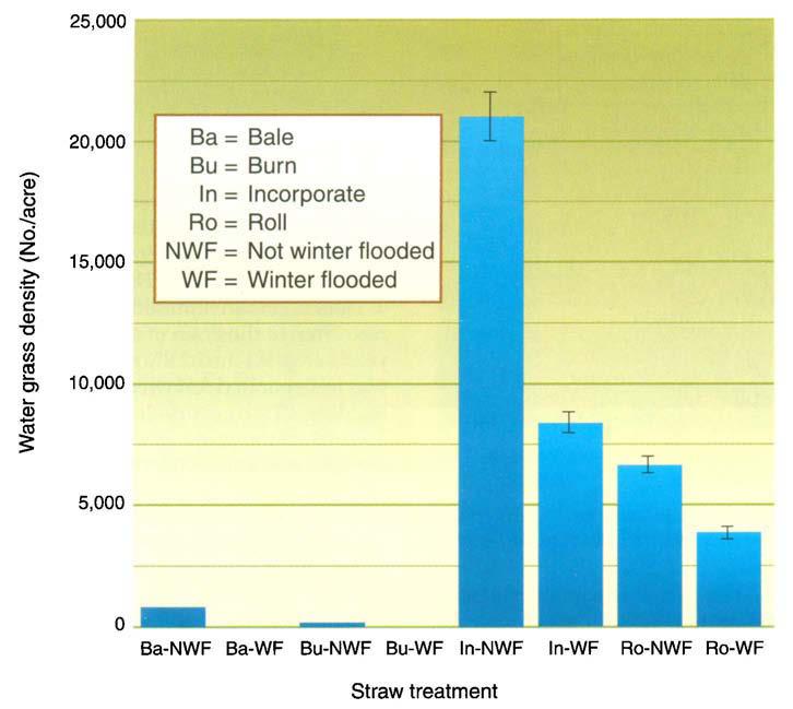 Researchers found lower waterbird densities in nonflooded fallow rice fields compared with flooded in California (Elphick and Oring 1998).