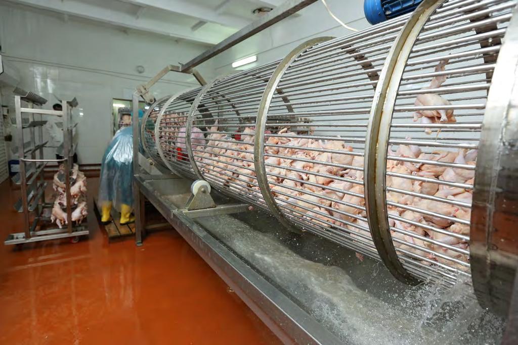 DAVACHI BROILER OJSC PURPOSE: Renovation and capacity expansion of one of the largest poultry production farms in Azerbaijan PROJECT VALUE: $14,475,000 (part of