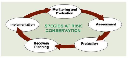achieve the population and distribution objectives for the species must be identified. This, in turn, will facilitate the survival and recovery of the species. 3.